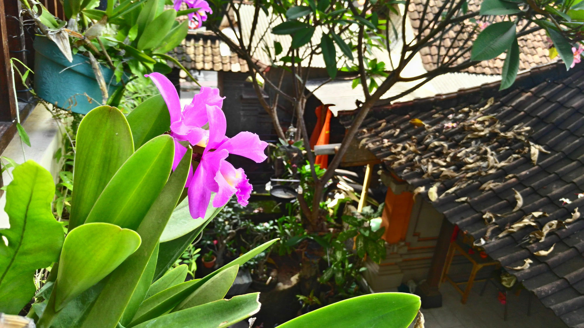 Nyoman Badri Homestay Ubud Exteriér fotografie